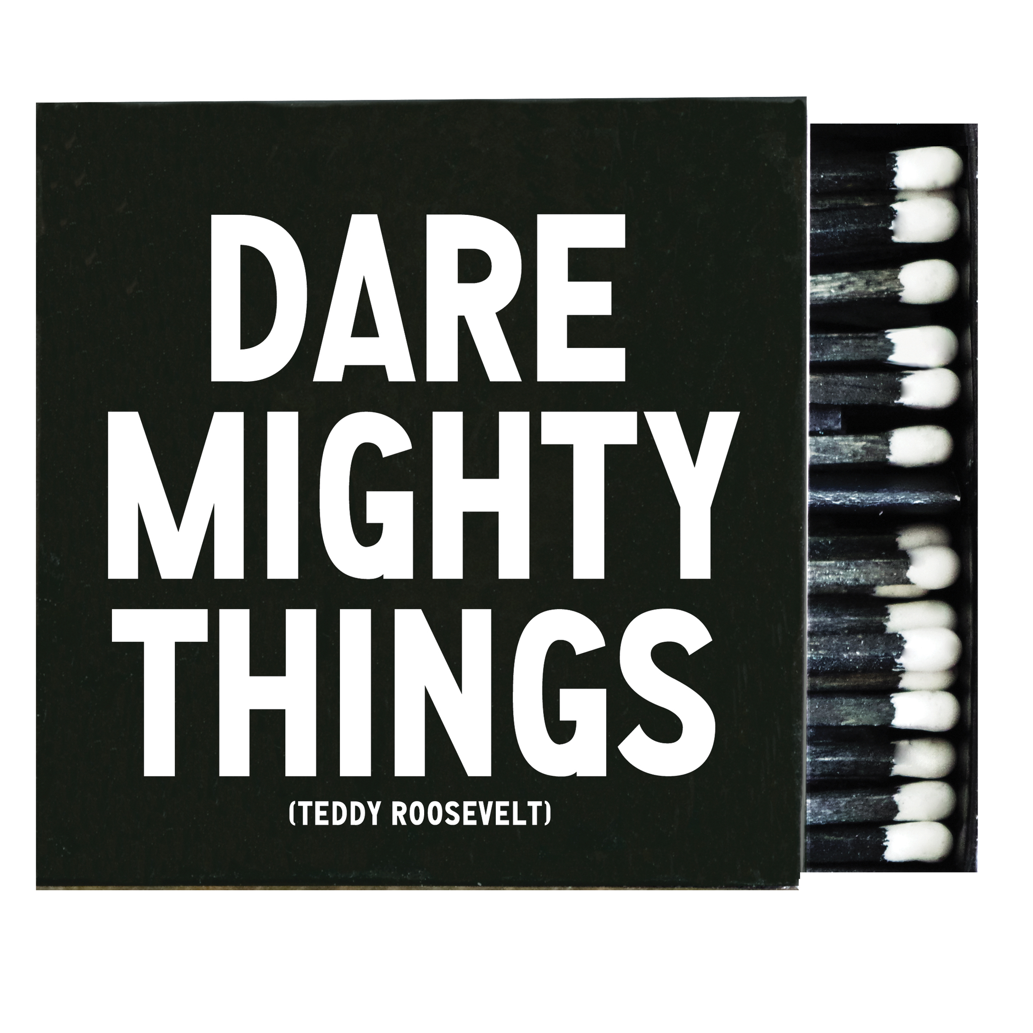 Matchboxes - X122 - Dare Mighty Things (Teddy Roosevelt)