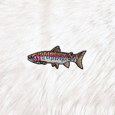 Fish Salt And Freshwater Embroidery Iron On Patch