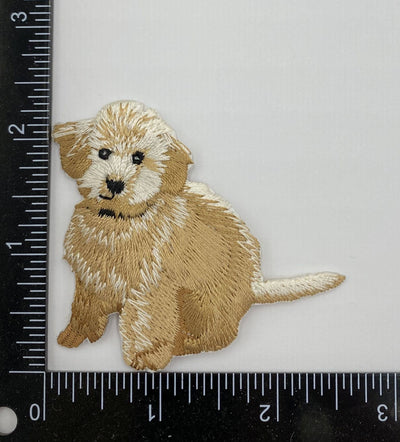 Golden Doodle, Dogs, Pets, Puppy, Iron on Patch