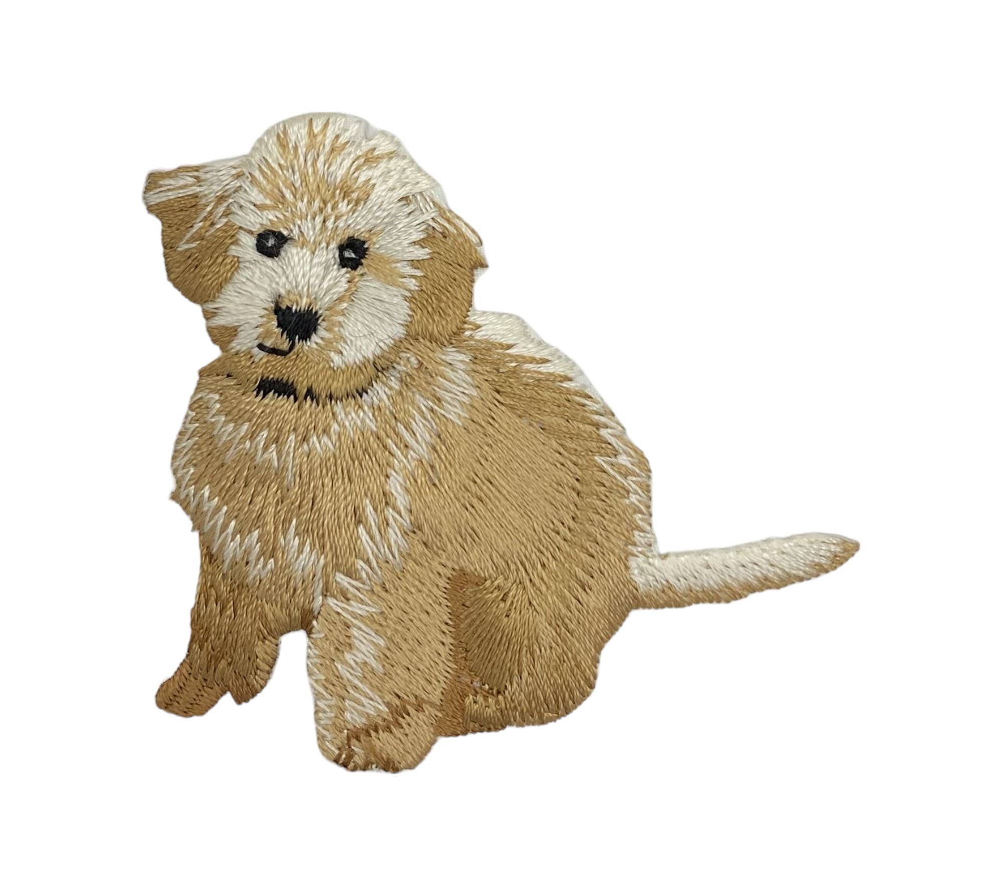 Golden Doodle, Dogs, Pets, Puppy, Iron on Patch