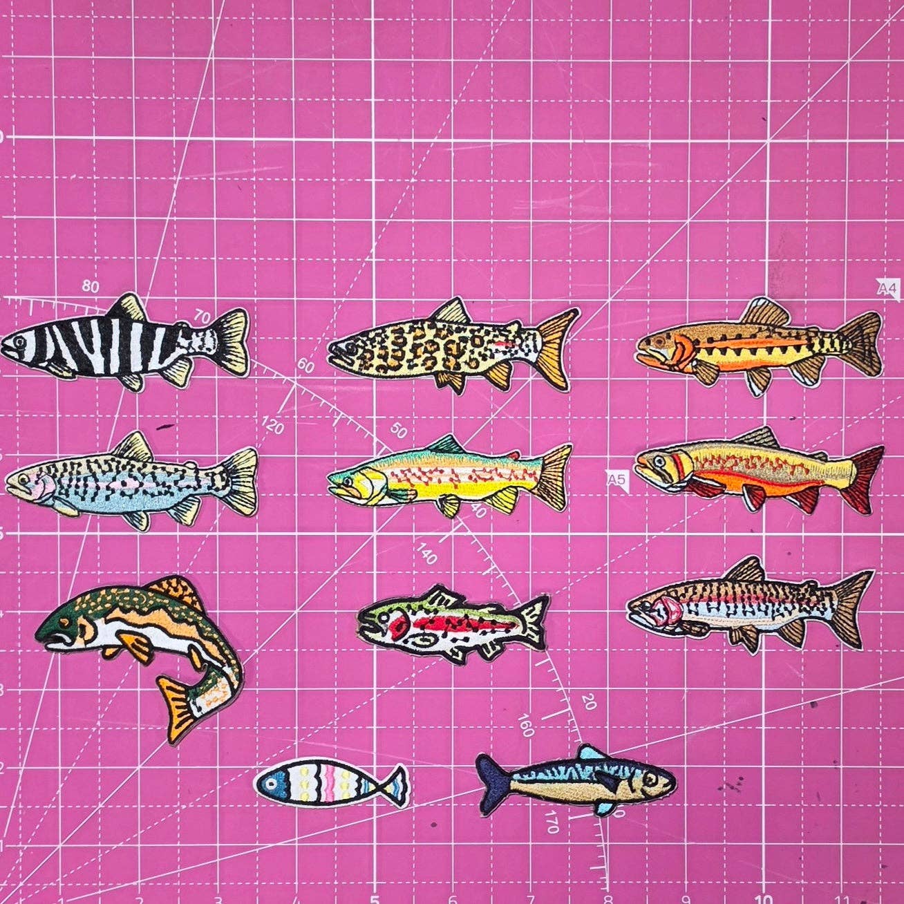 Fish Salt And Freshwater Embroidery Iron On Patch